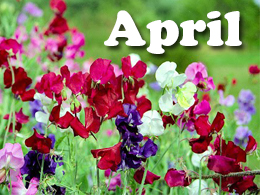 April tips