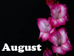 August Tips