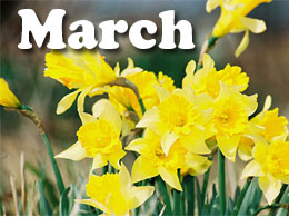 March Tips