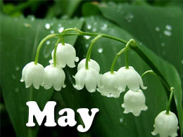 May Home, Lawn and Garden Tips