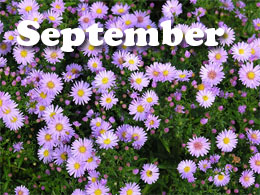 September Tips