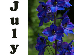 July Tips
