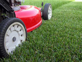 Set that mower high!!