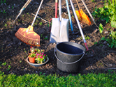 Lawn and Garden Tips