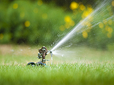 Watering